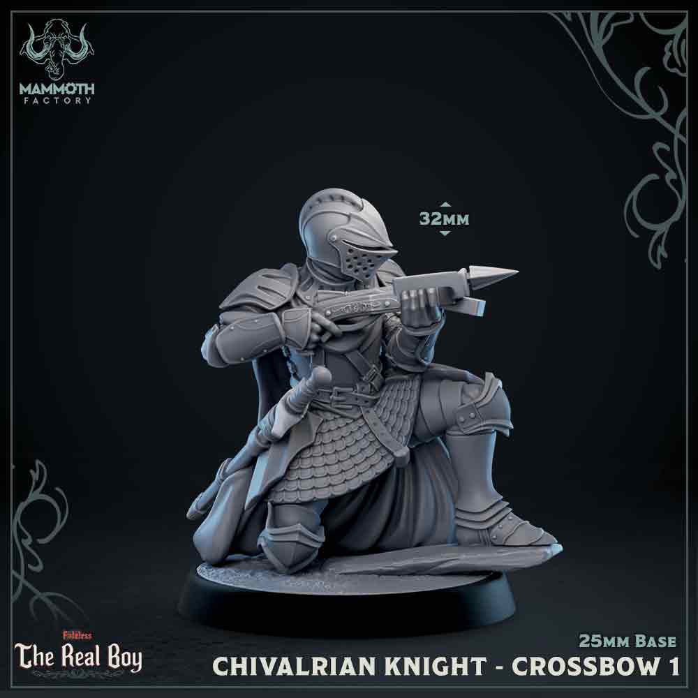 Chivalrain Knight with Crossbow Variant A | Miniature
