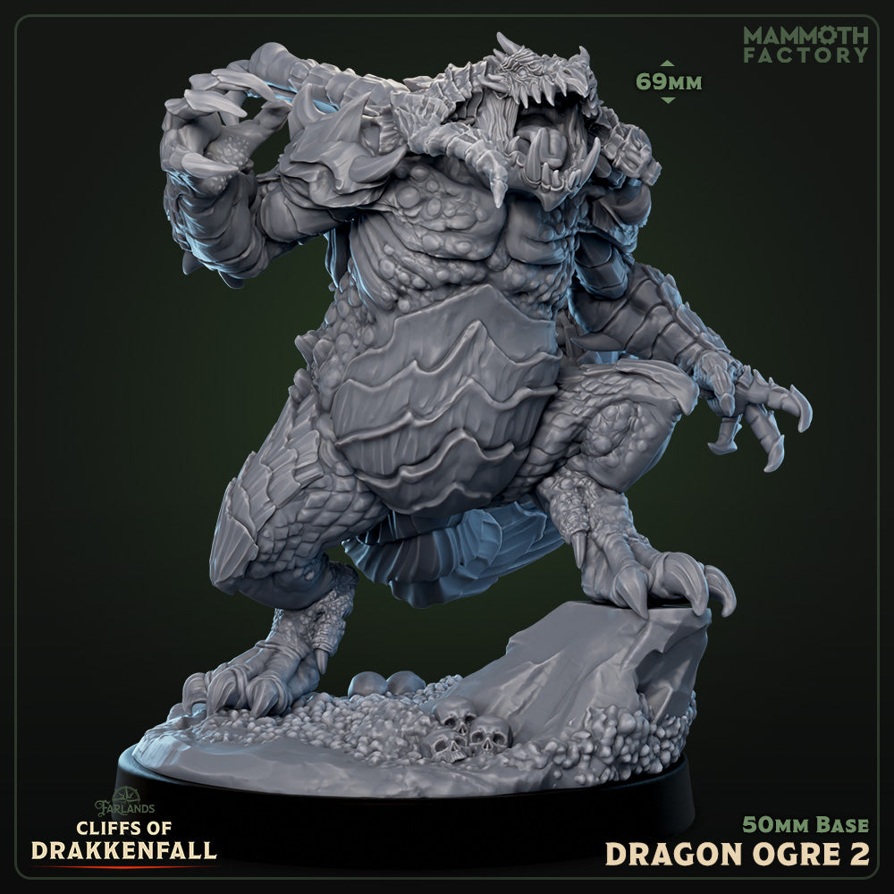 Dragon Ogre Variant B | Miniature