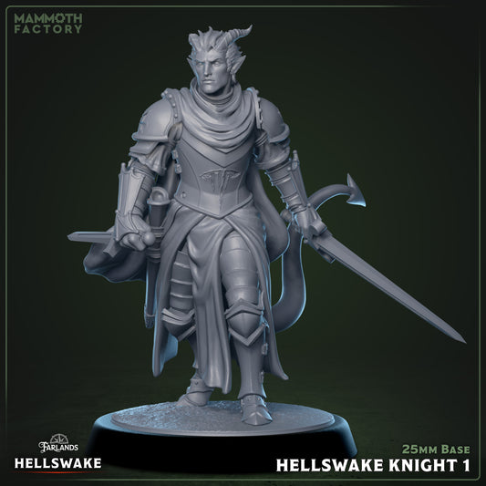 Hellswake Knight Variant A | Miniature