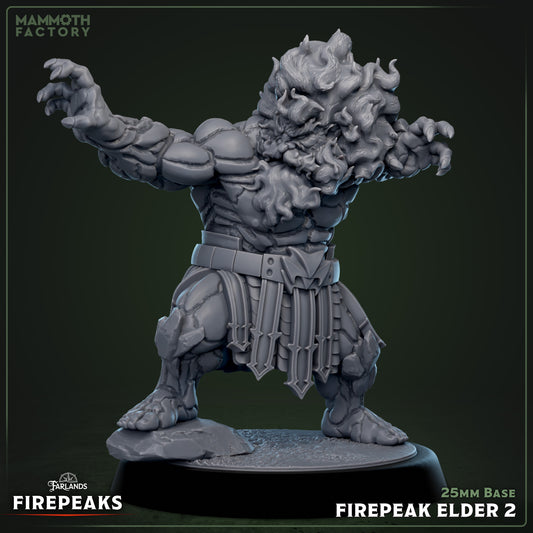 Firepeak Elders Variant B | Miniature