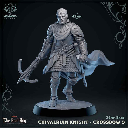 Chivalrain Knight with Crossbow Variant E | Miniature