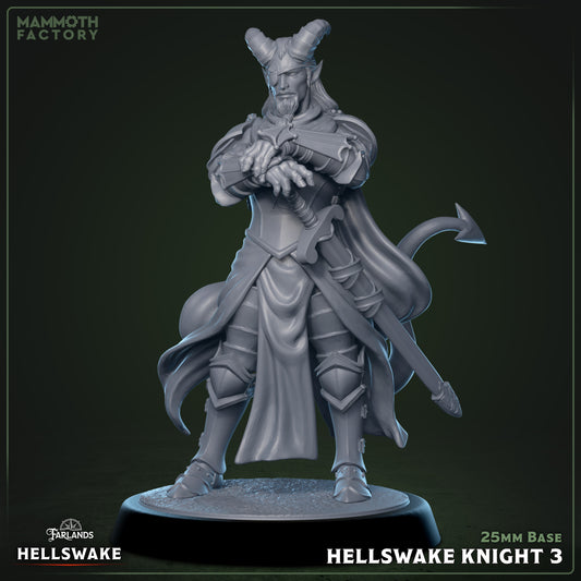 Hellswake Knight Variant C | Miniature