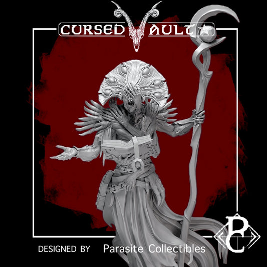 The Sorcerer | Miniature