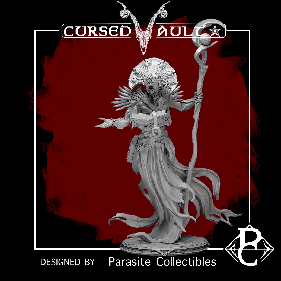 The Sorcerer | Miniature