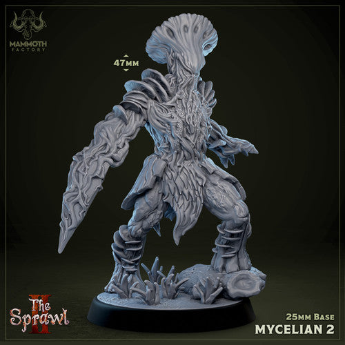 Mycelian | Varient B | The Cursed Vault